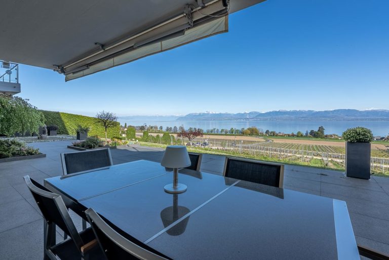 Bursinel-Terrasse-vue-3-avril-2025