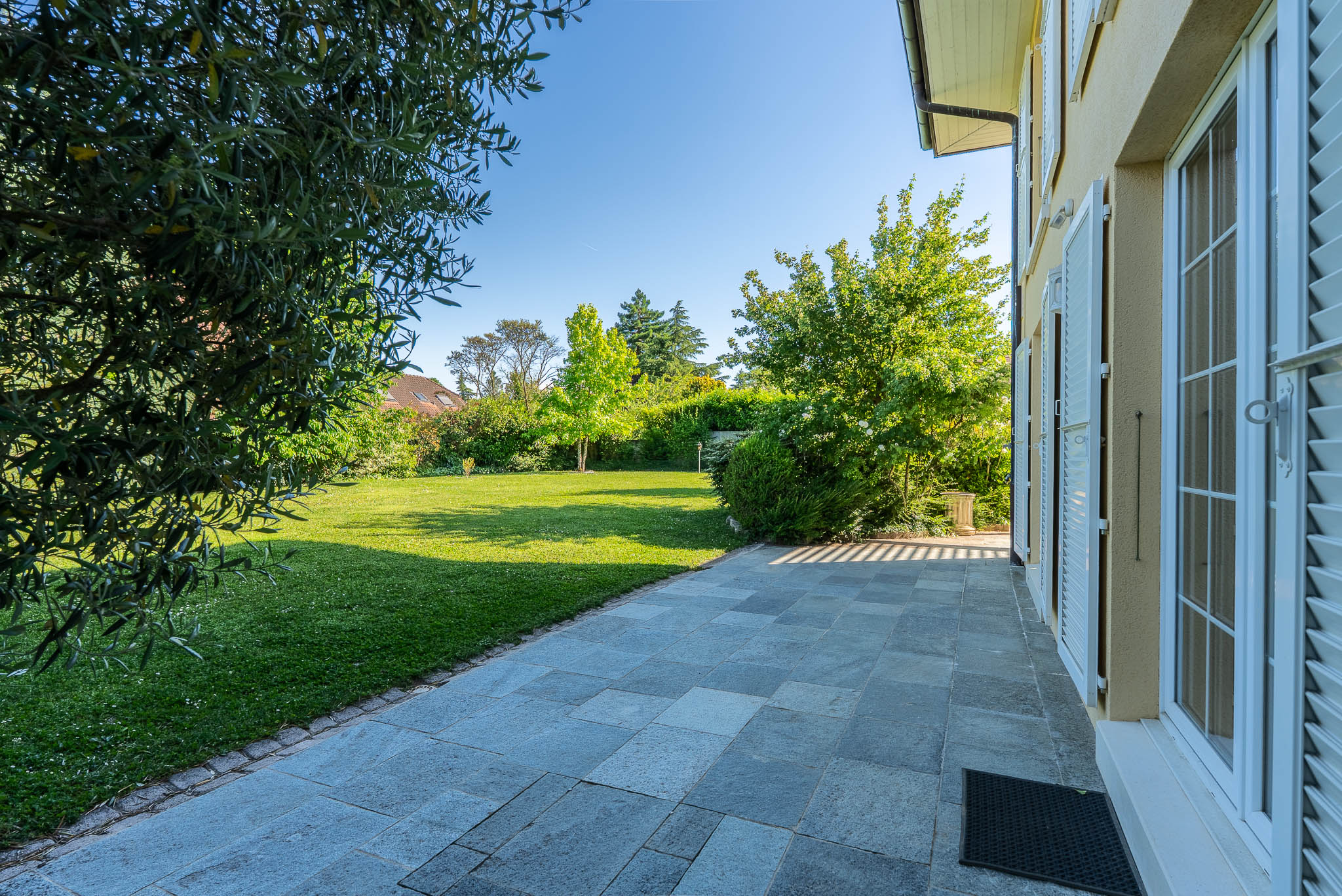 FOGE 25 — image 23